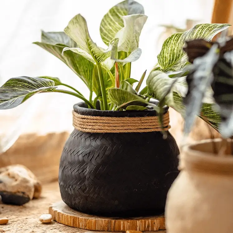 Faux Bamboo Woven Cement Planter by RusticReach