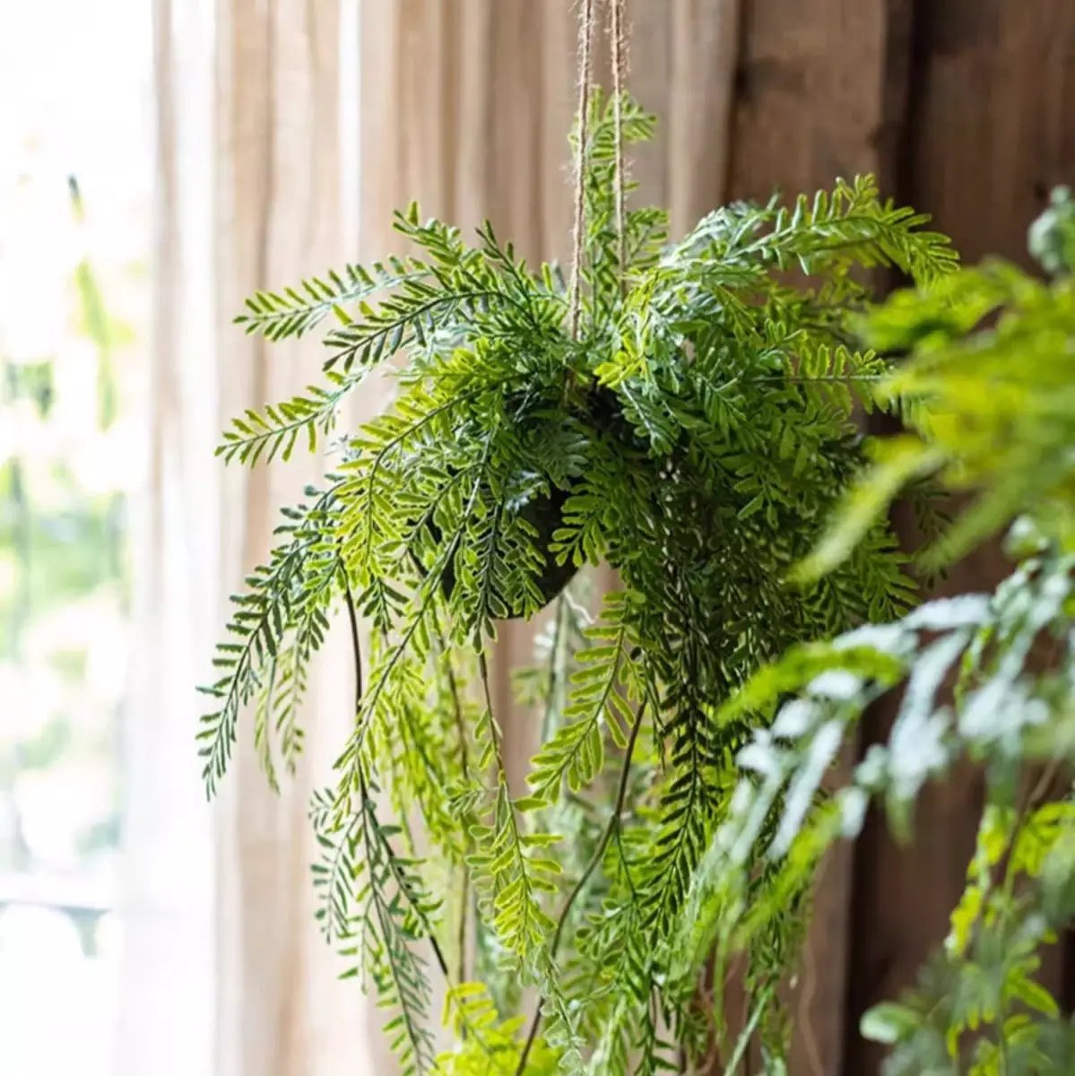 Artificial Fern Hanging Ball Decoration by RusticReach