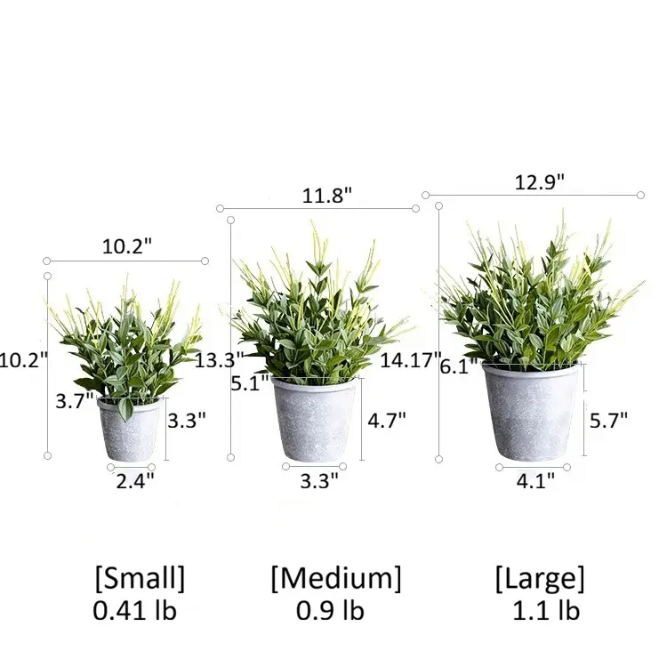 Golden Needle Potted Plant by RusticReach