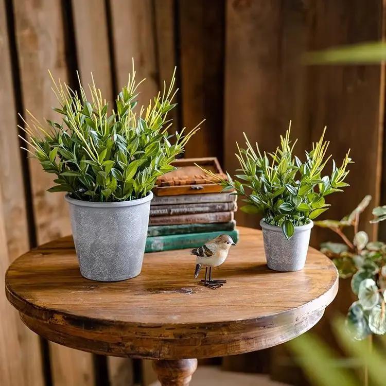 Golden Needle Potted Plant by RusticReach
