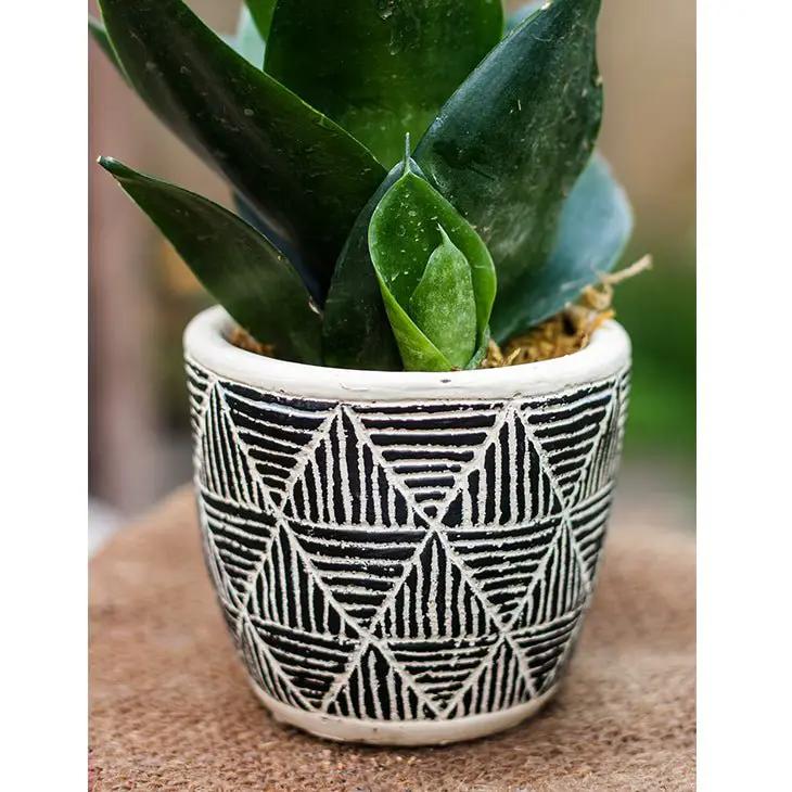 Geometric Art Concrete Flower Pot by RusticReach