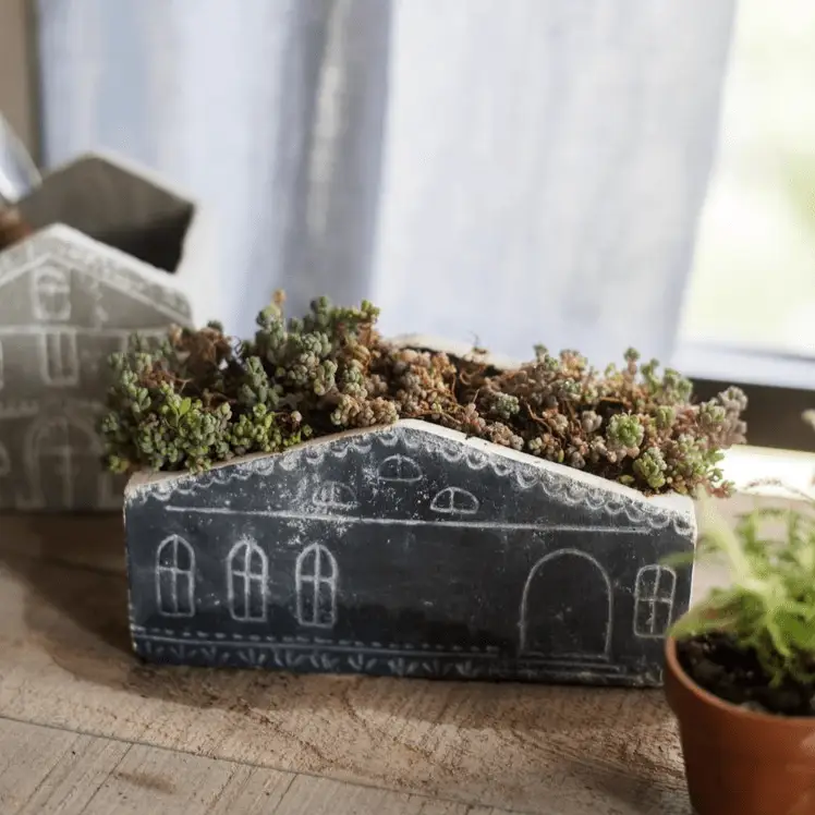 TinyHome Clay Planters by RusticReach