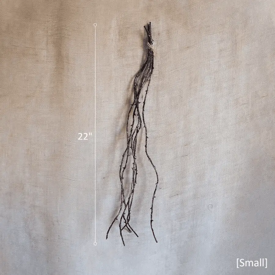 Ikebana Twig Branch by RusticReach