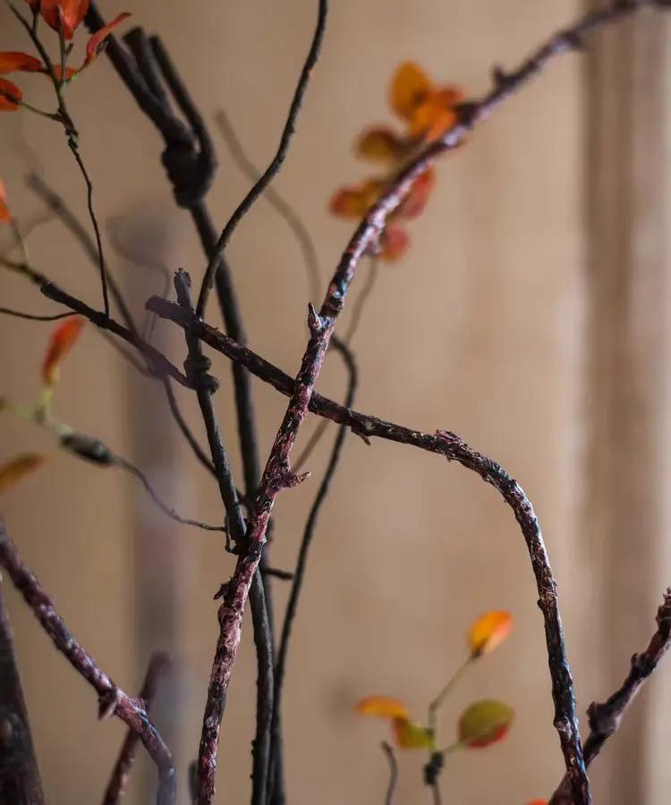 Ikebana Twig Branch by RusticReach
