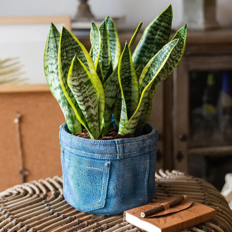 Pants for Plants Blue Jeans Cement Flower Pot by RusticReach