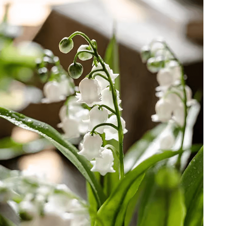 Faux Lily of the Valley in Brown Pot by RusticReach