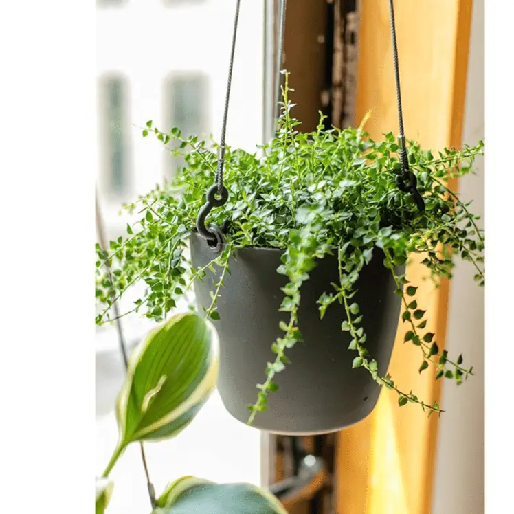 Modern Resin Hanging Planter for Artificial Plants by RusticReach