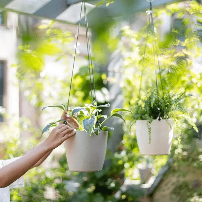 Modern Resin Hanging Planter for Artificial Plants by RusticReach