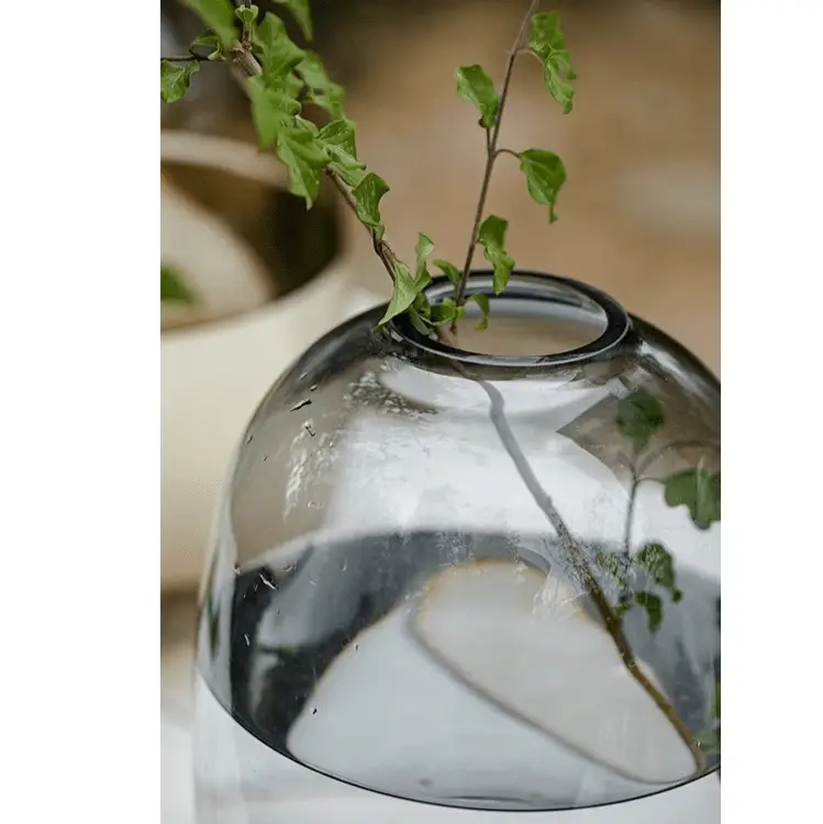 Modern Clear Glass Vase by RusticReach