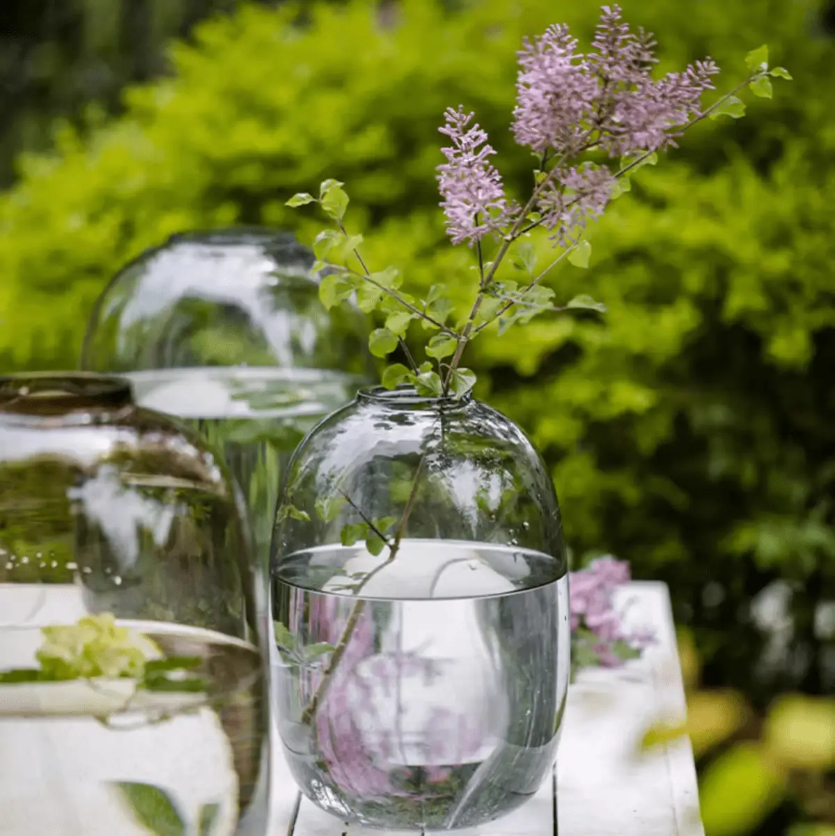 Modern Clear Glass Vase by RusticReach