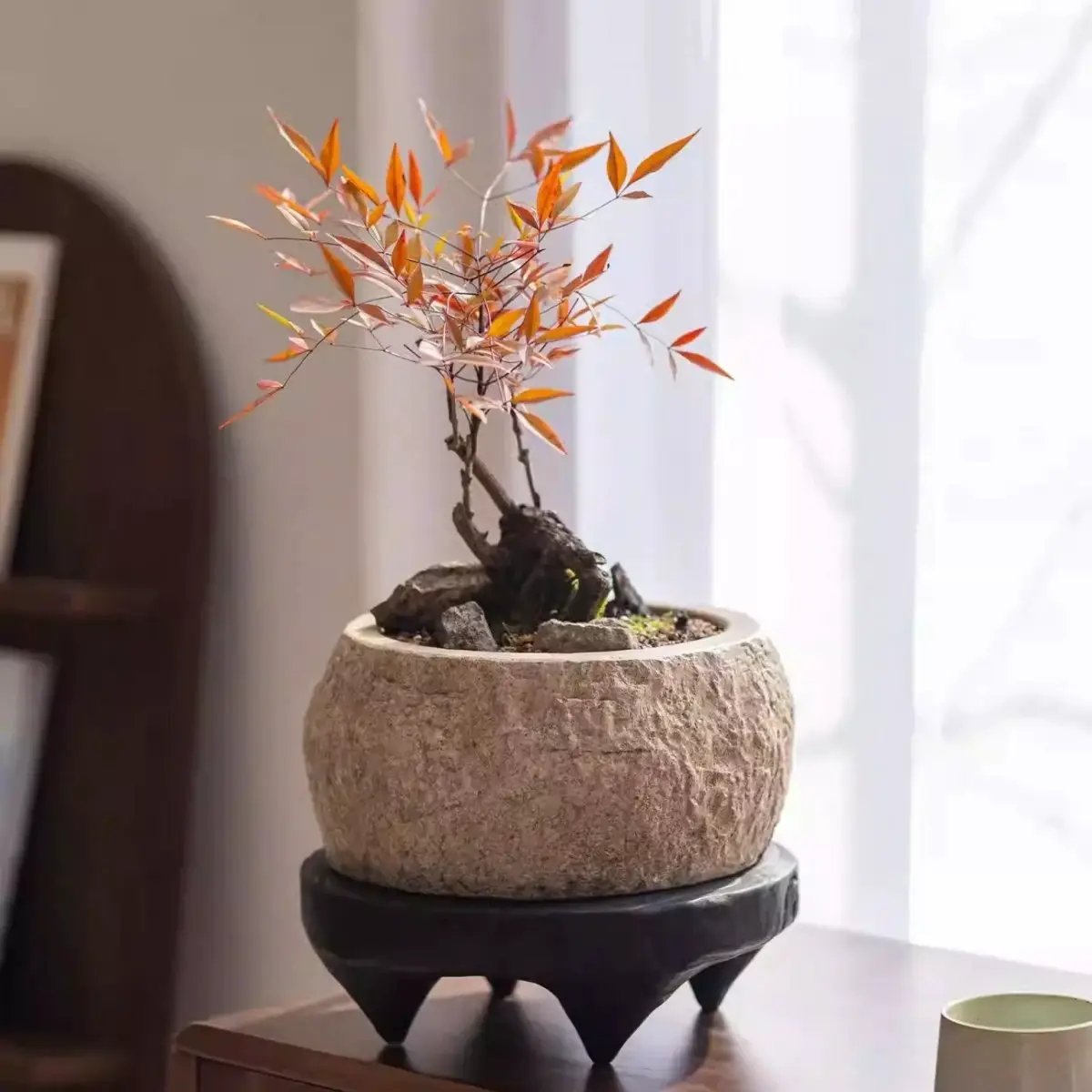 Mesa Cement Pot Planter by RusticReach