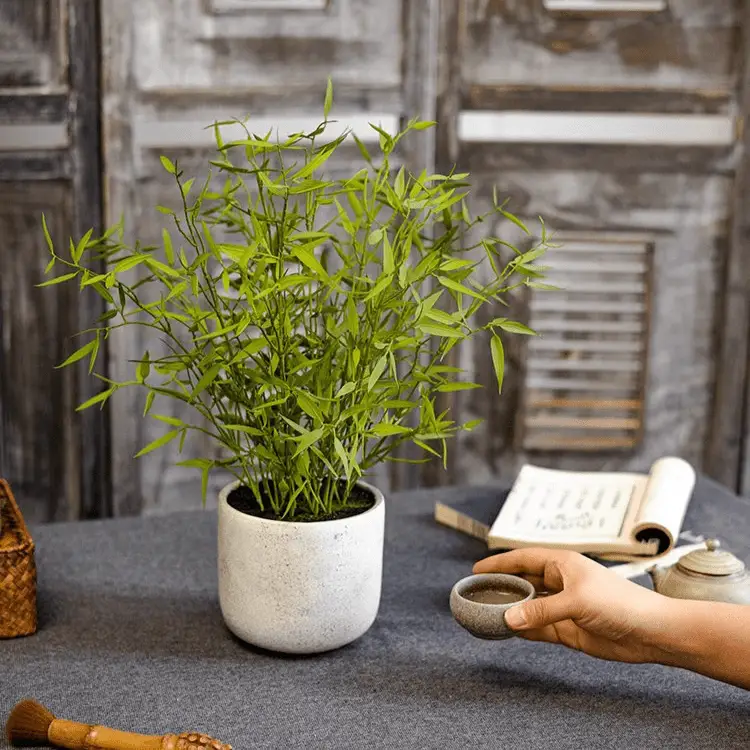 Realistic Mini Bamboo Leaf Potted Plant by RusticReach