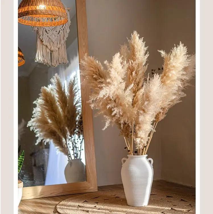 Natural Reed Stem 10 Stem Set 51" Tall by RusticReach