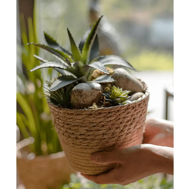 Natural Straw Desktop Flower Basket by RusticReach