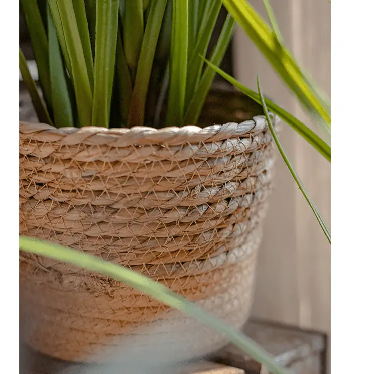 Natural Straw Desktop Flower Basket by RusticReach