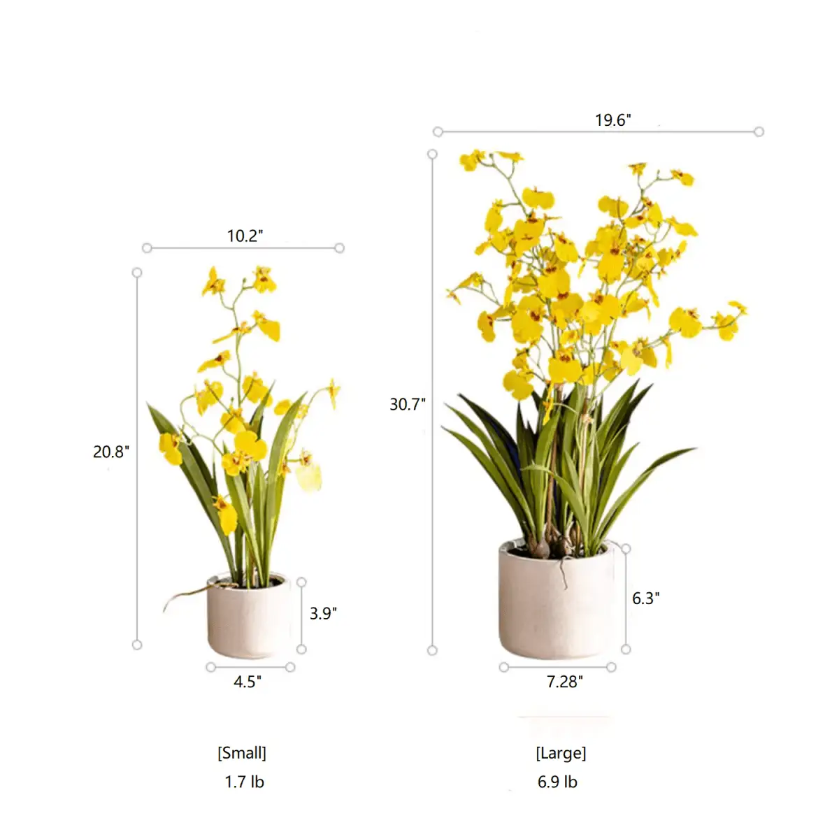 Potted Faux Dancing Lady Orchid by RusticReach