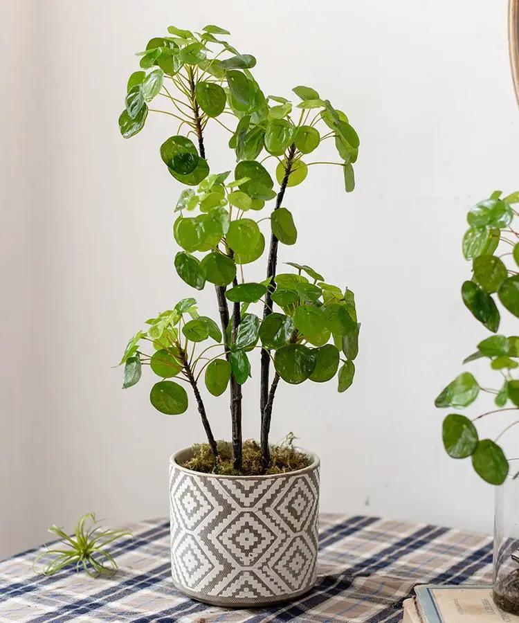 Artificial Potted Pilea Plant 26" Tall by RusticReach
