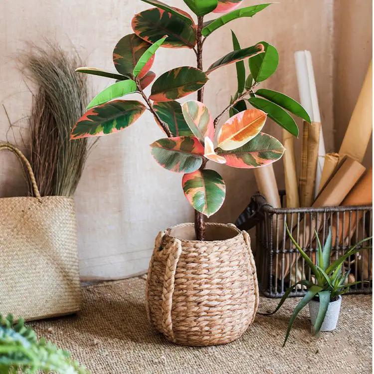 Large Rope Basket Cement Planter by RusticReach
