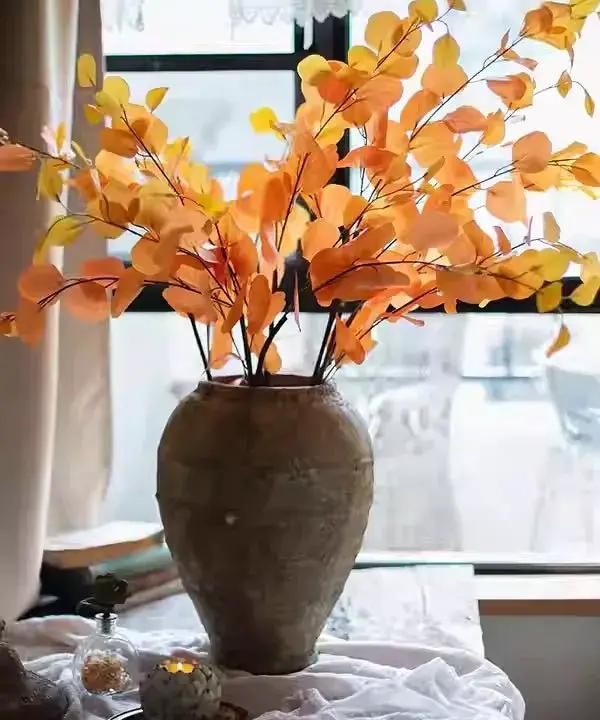 Round Leaf Eucalyptus Stem 44" Tall by RusticReach