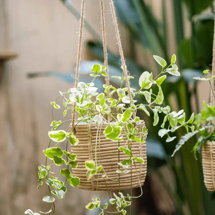 Faux Rattan Cement Hanging Planter by RusticReach
