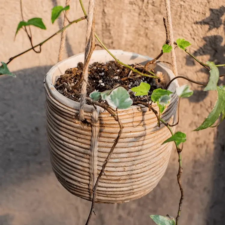 Faux Rattan Cement Hanging Planter by RusticReach