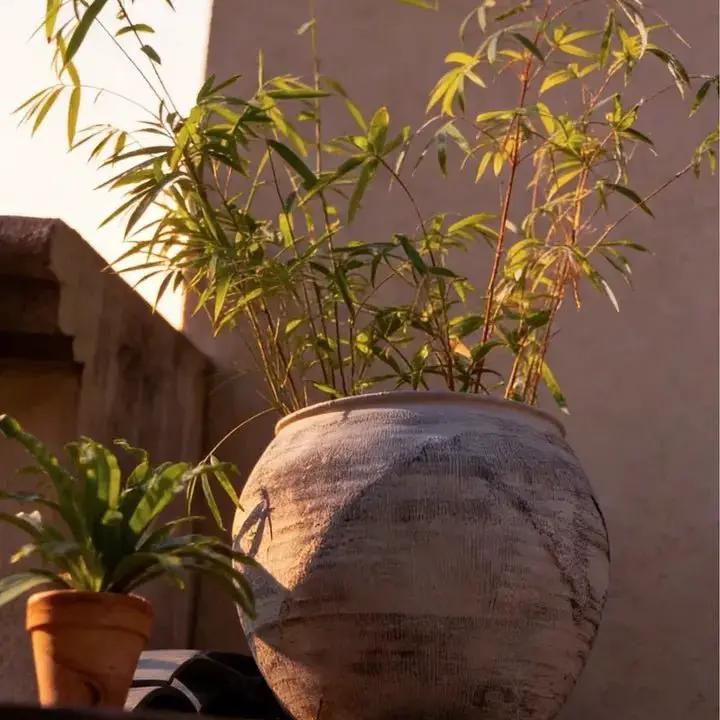 Sierra Round Pot Planter by RusticReach