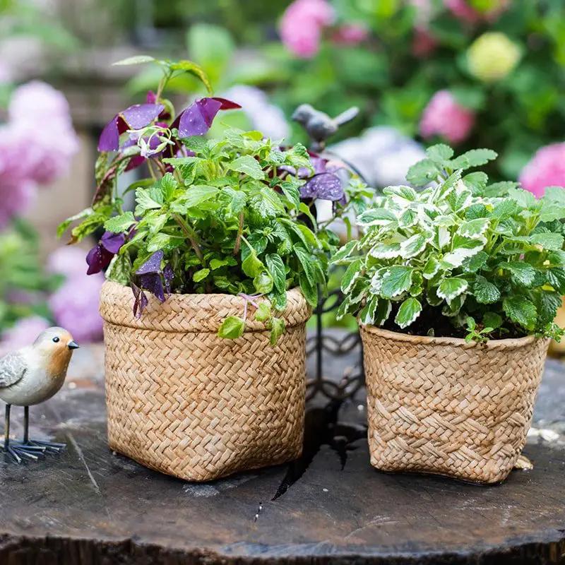 Straw Basket Style Concrete Planter by RusticReach
