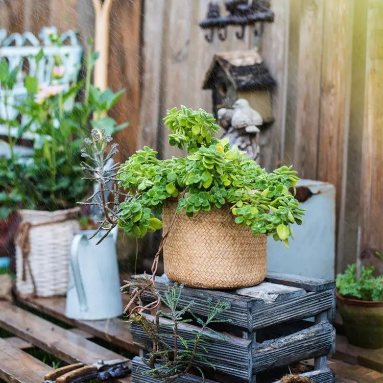 Straw Basket Style Concrete Planter by RusticReach
