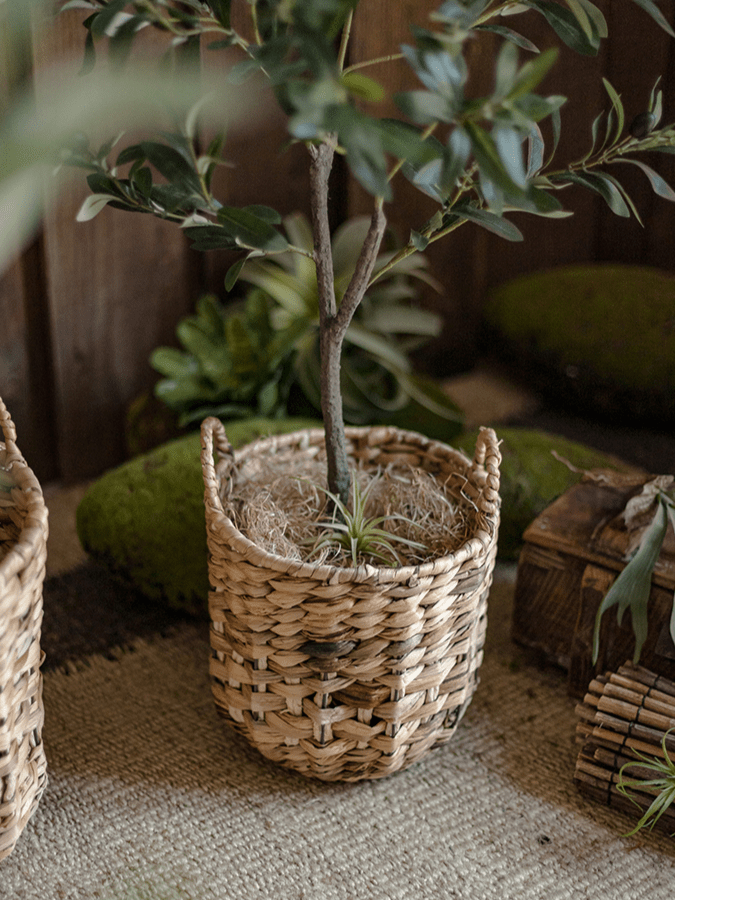 Natural Straw Round Basket with Handles by RusticReach