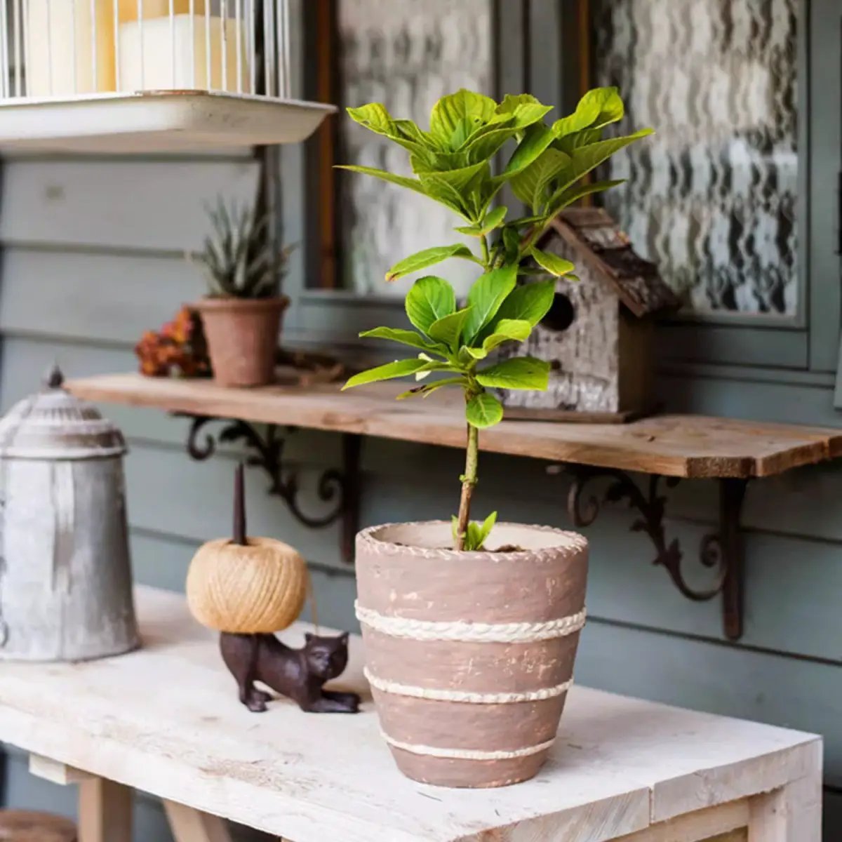 Tasha Red Terracotta Planter by RusticReach
