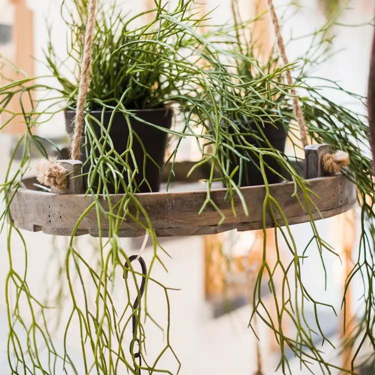 Artificial Faux Usnea Vine Stem 22" Long by RusticReach