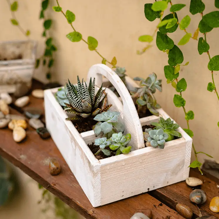 Wooden Desktop Organizer Succulent Planter by RusticReach