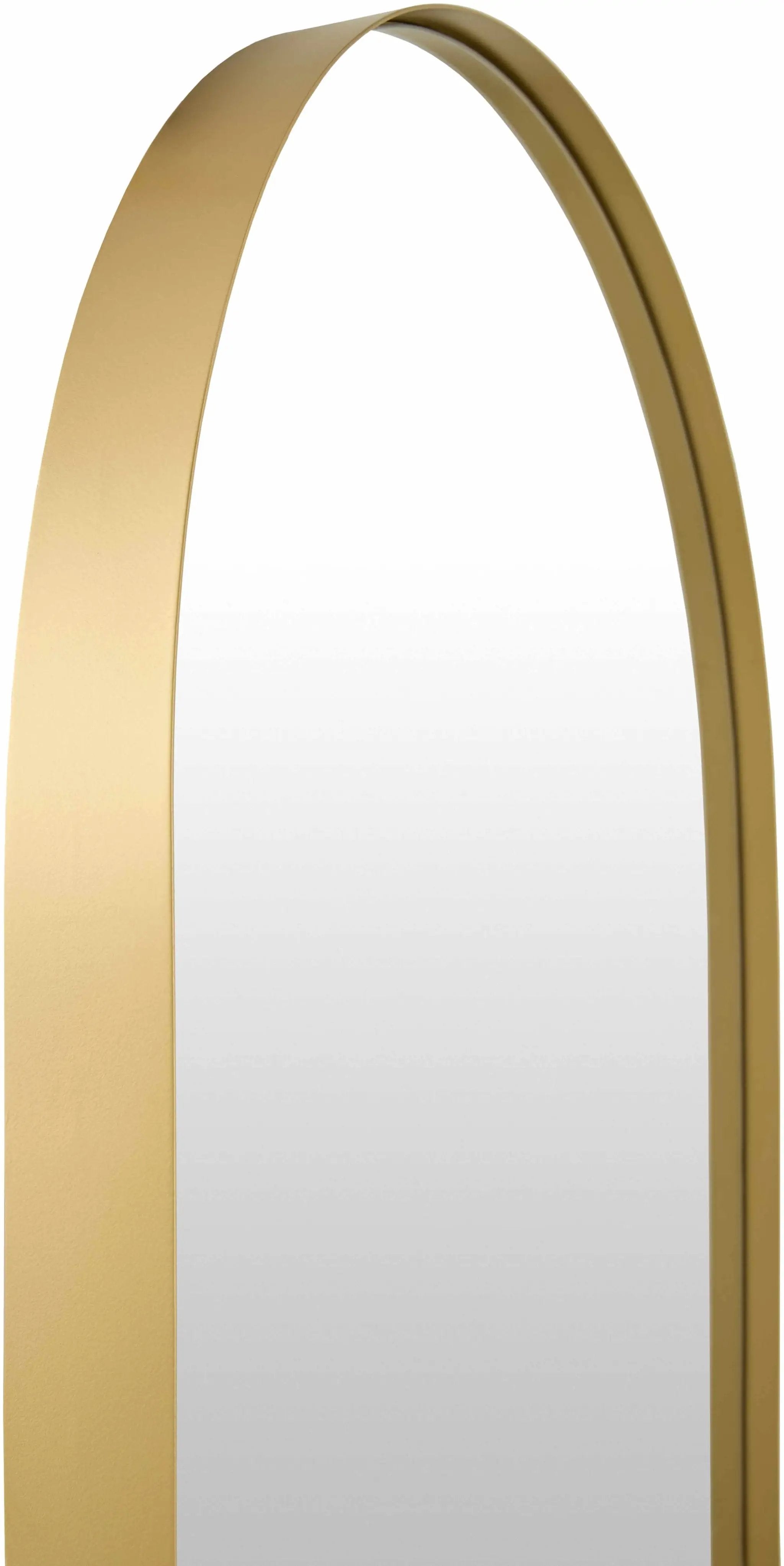 Jinshiqiao Accent Mirror by Boutique Rugs