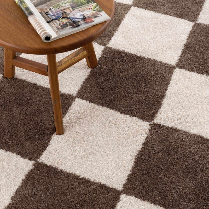 Arilla Brown Washable Diamond Area Rug by Boutique Rugs