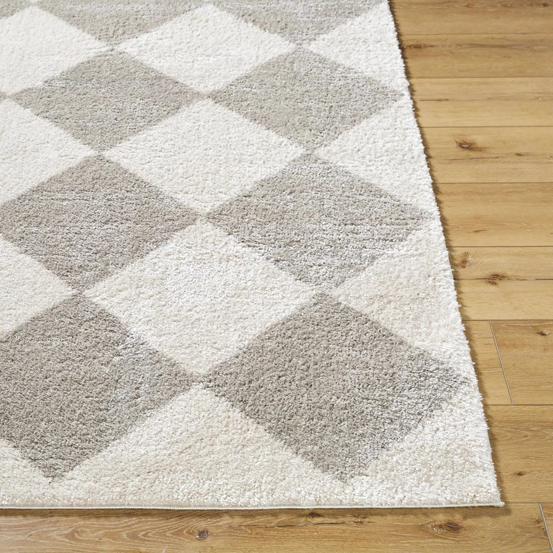 Arilla Gray Washable Diamond Area Rug by Boutique Rugs