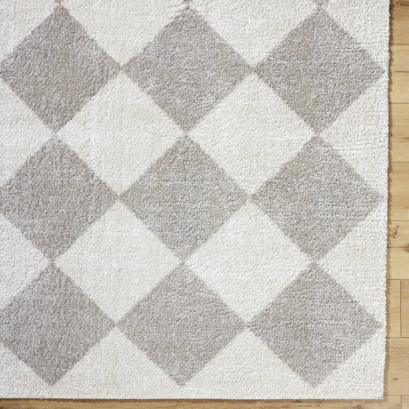 Arilla Gray Washable Diamond Area Rug by Boutique Rugs