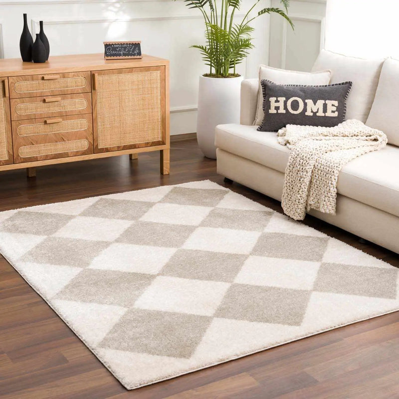Arilla Gray Washable Diamond Area Rug by Boutique Rugs