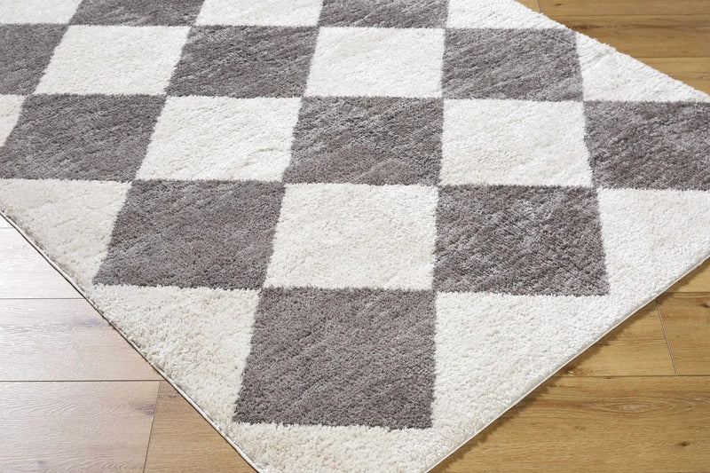 Arilla Diamond Checkered Washable Area Rug by Boutique Rugs