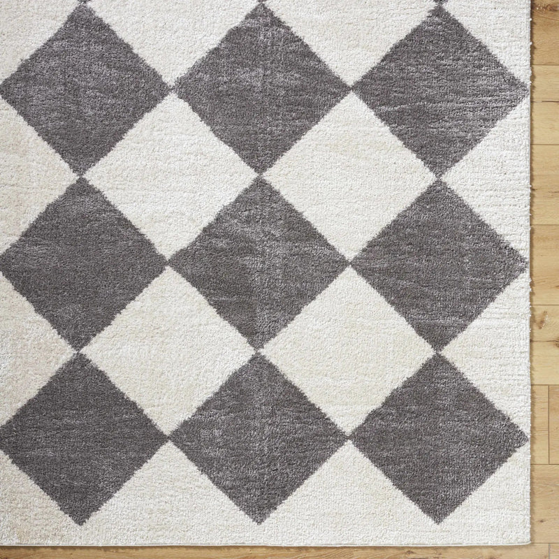 Arilla Diamond Checkered Washable Area Rug by Boutique Rugs