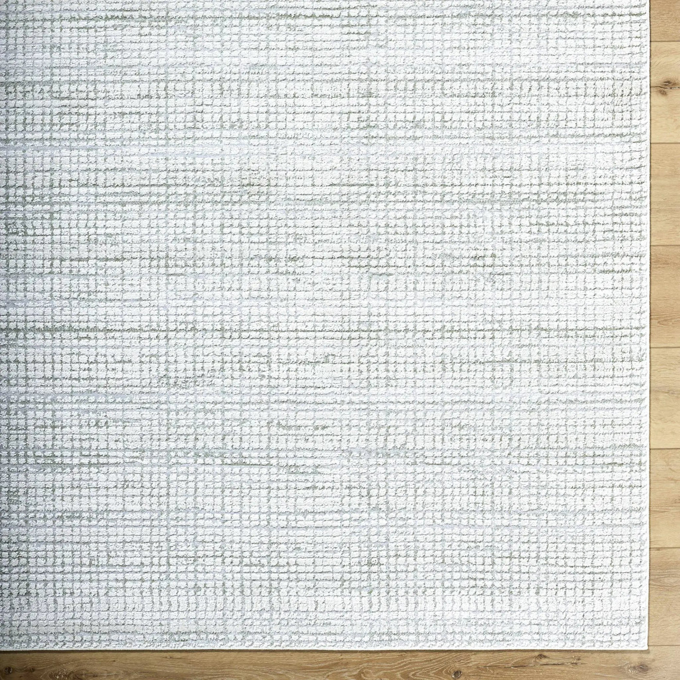 Albena Gray Area Rug by Boutique Rugs