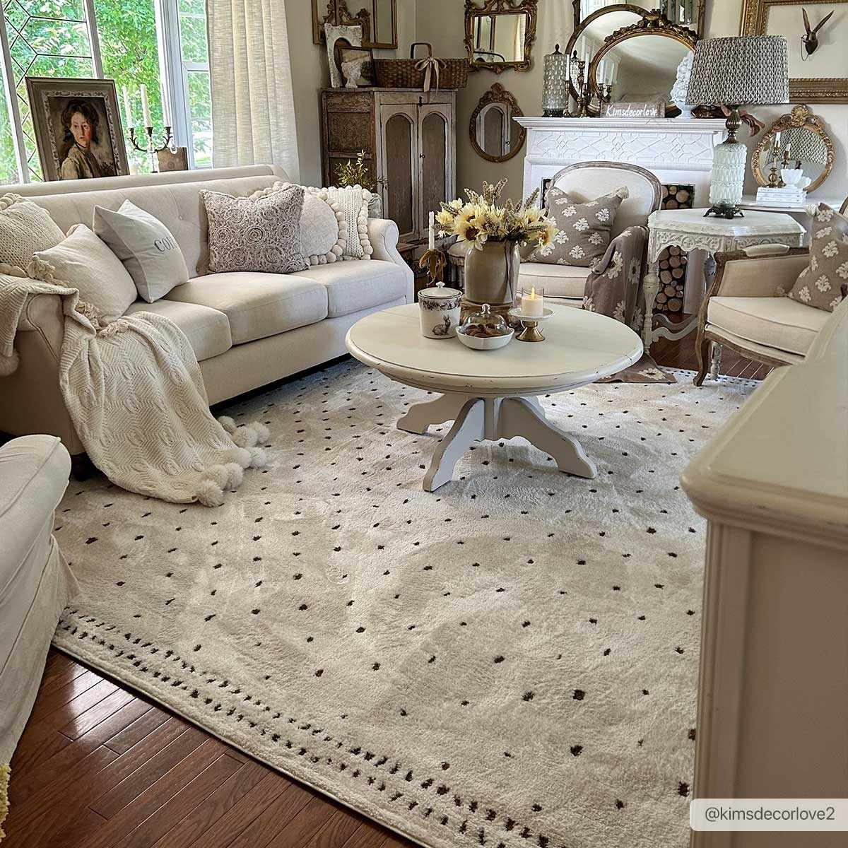 Julie Ivory & Brown Area Rug by Boutique Rugs