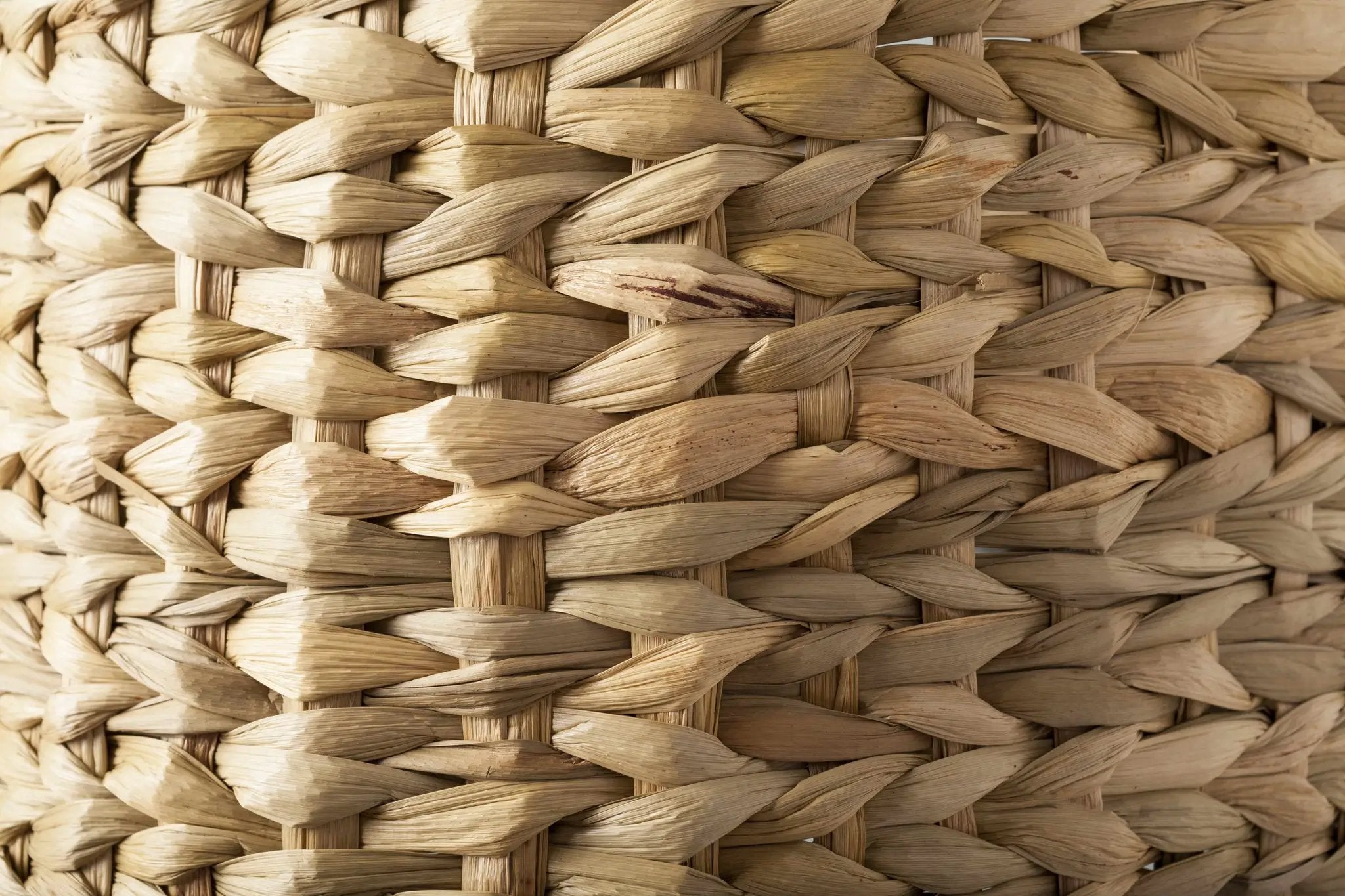 Kabankalan Seagrass Resin Table Lamp by Boutique Rugs