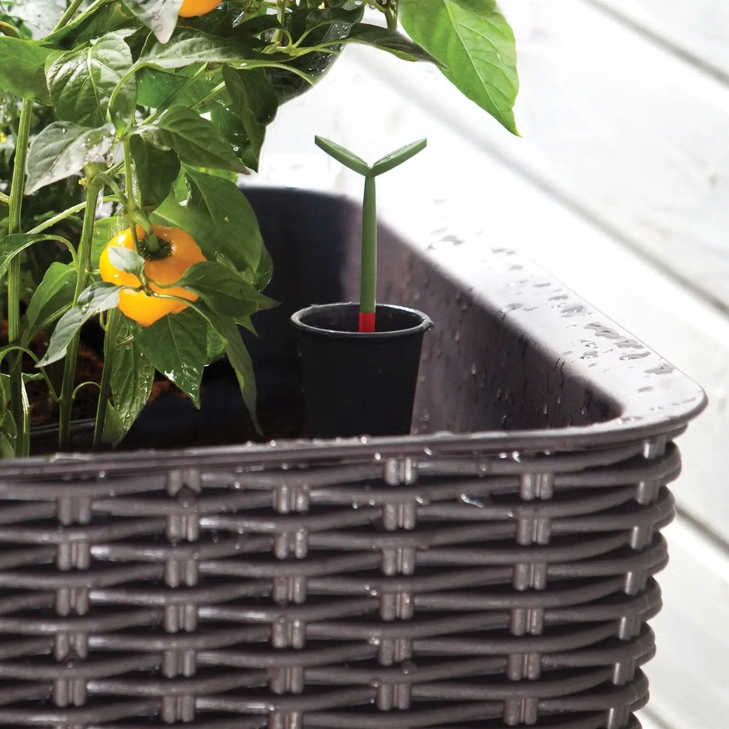 Modern Dark Brown Resin Wicker Raised Garden Bed Planter with Water Indicator by HomePacific