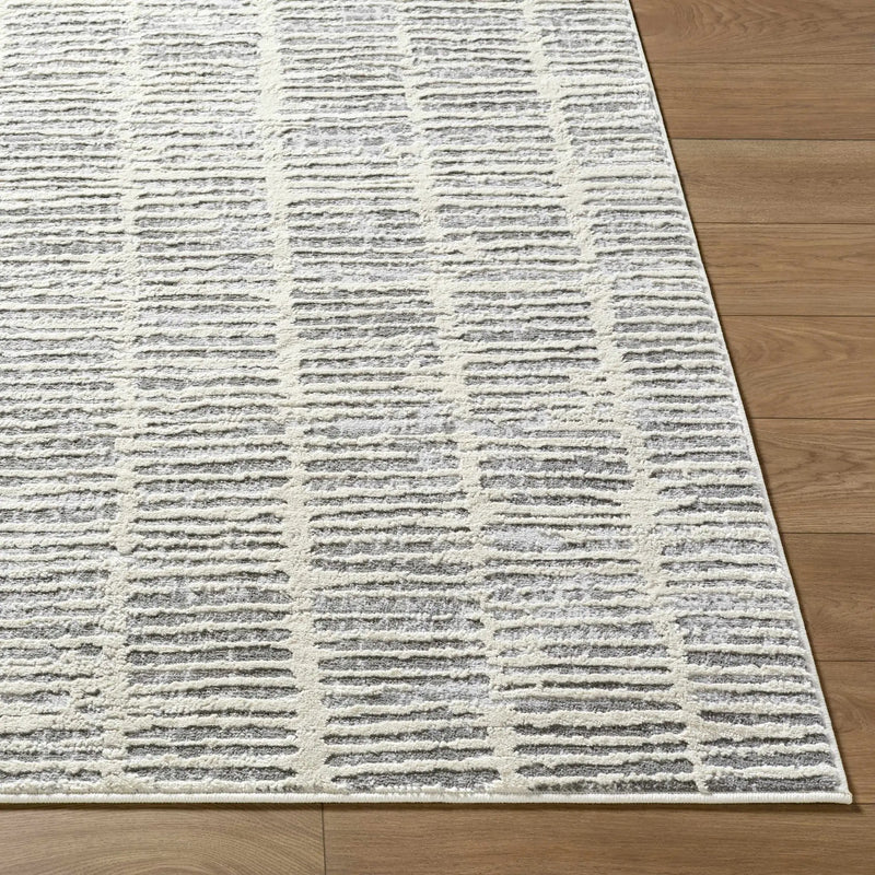 Aricin Gray Area Rug by Boutique Rugs