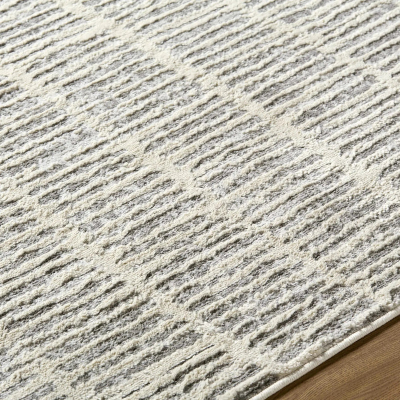 Aricin Gray Area Rug by Boutique Rugs