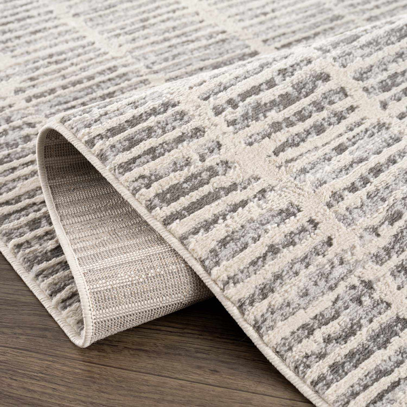 Aricin Gray Area Rug by Boutique Rugs