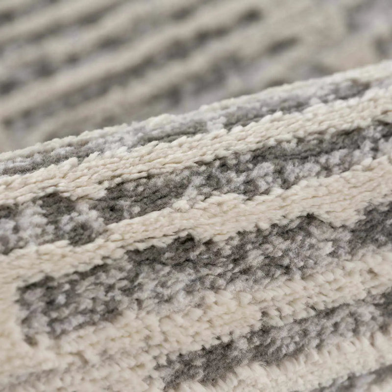 Aricin Gray Area Rug by Boutique Rugs