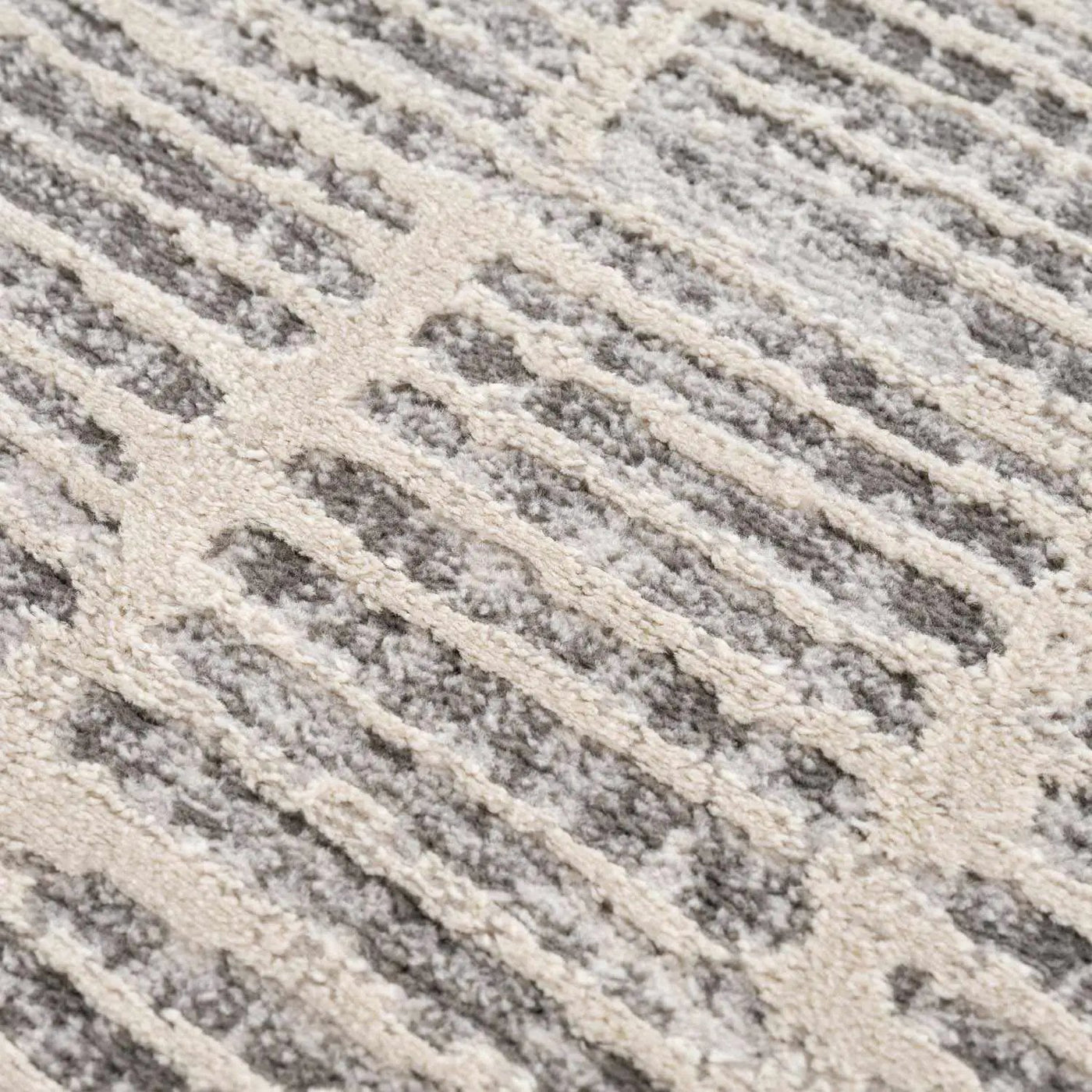 Aricin Gray Area Rug by Boutique Rugs