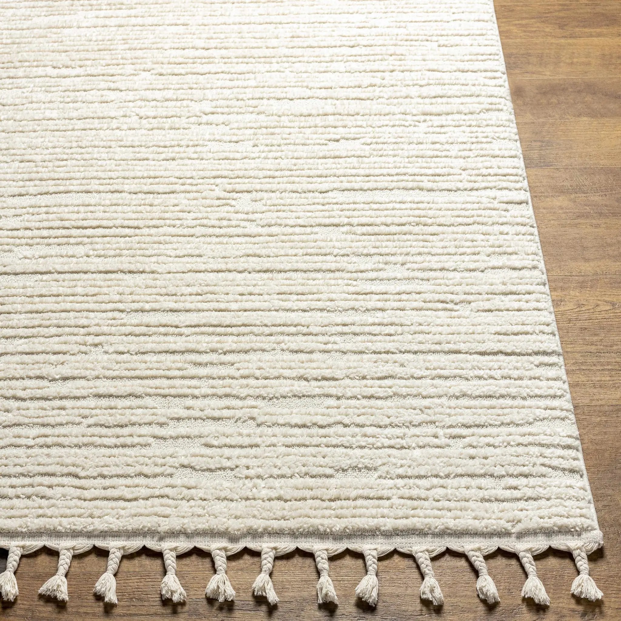 Kulu Textured Area Rug with Tassels by Boutique Rugs