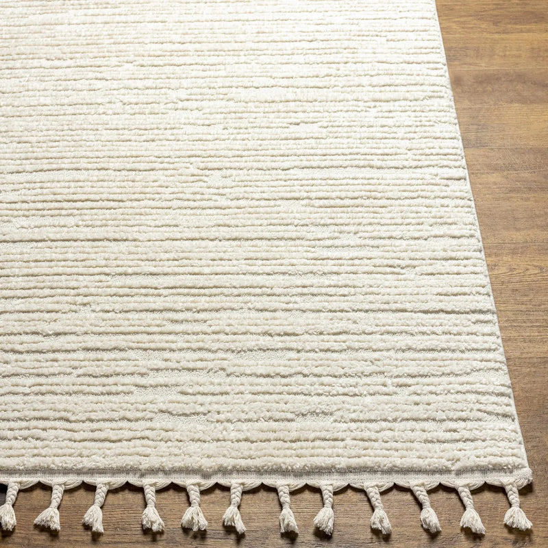 Kulu Textured Area Rug with Tassels by Boutique Rugs
